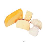 Assortiment de 5 fromages en lot de 5 en Plastique soufflé L 60-155 mm