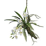 Orchidée Dendrobium factice Latex sur branche à suspendre L50cm Crème
