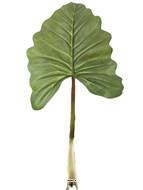 Feuille d'Alocasia, Songe Caraïbe artificielle, H 91 cm - BEST