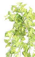 Chute de syngonium artificiel H 80 cm Vert