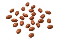 25 cacahuètes artificielles décoration  réaliste fausse nourriture