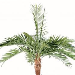 Palmier Coco artificiel H 400 cm 1525 feuilles sur platine