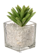Agave artificielle succulente cacte en pot verre et cailloux blanc