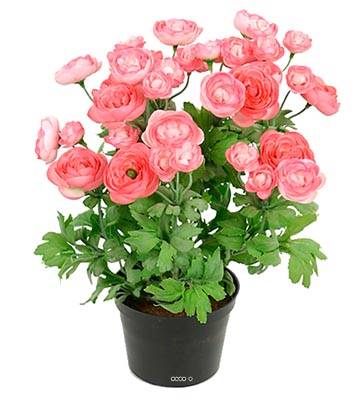 Renoncule factice en pot H28cm 32 fleurs lumineuses Rose soutenu