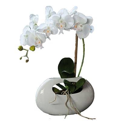 Orchidee artificielle crème 1 hampe pot Ceramique Blanc oval H 43 cm