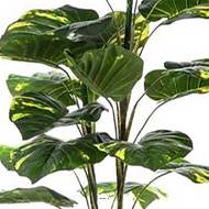 Pothos artificiel en pot 19 grandes feuilles H 120 cm