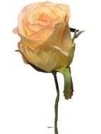 tte de rose Artificielle D 5 cm sur tige idale mariage Rose-crme
