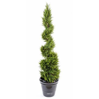 Cypres Juniperus artificiel en pot sur tronc en spirale fine H 130 cm