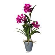 Orchide Dendrobium factice 3 hampes vase cramique H70cmD40cm fushia