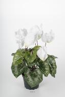 Cyclamen artificiel en pot 7 têtes H 33 cm Blanc neige