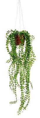 Pilea artificiel en pot suspendu L 55 cm, D 18 cm