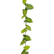Guirlande de feuilles de Syngonium artificielles L 185 cm