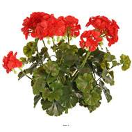 Geranium artificiel en piquet H 38 cm 6 tetes plastique anti UV exterieur Rouge