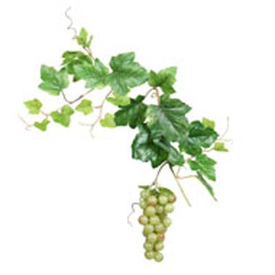 Grappe de raisin vert artificiel L 15 cm avec feuillage vigne Lg 45 cm