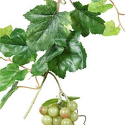 Grappe de raisin vert artificiel L 15 cm avec feuillage vigne Lg 45 cm