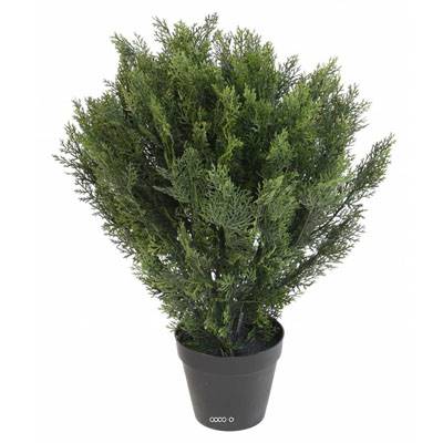 Cyprès artificiel buisson en pot anti-UV pour extérieur H 75 cm Vert