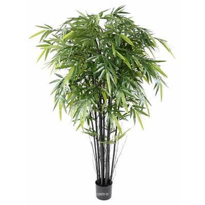 Bambou artificiel à cannes noires effet zen H 180 cm