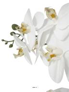 Orchidée phalaenopsis faux 2hampes 14fleurons en pot H60cm D20cm Crème