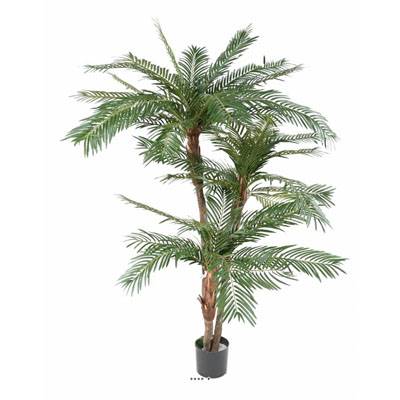 Palmier Cycas 3 Troncs en pot 160cm superbe de realisme