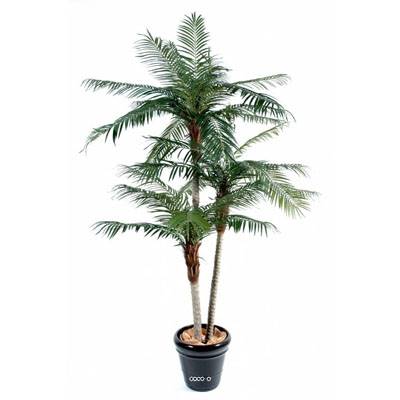 Palmier Phoenix Artificiel H 250 cm D 140 cm 38 palmes 3 troncs en pot