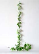 Guirlande de 16 Roses artificielles crme plastique L 180 cm