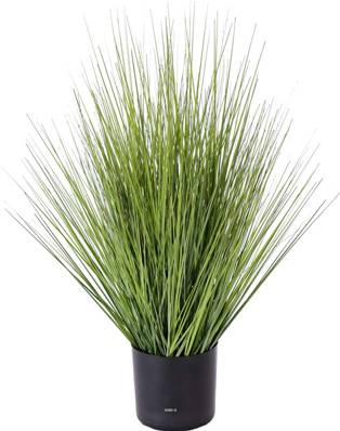 Isolepsis Herbes Graminees artificielles Vert H 60cm en pot D 30cm