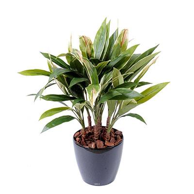 Dracaena artificiel type cordyline en pot H 85 cm feuilles tissu