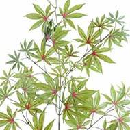 Branche d'aralia artificielle H 70 cm Magnifique vert-rouge