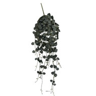 Chute de ceropegia artificiel, 258 feuilles H 70 cm