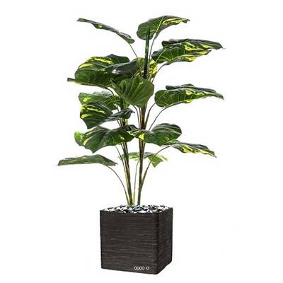 Pothos artificiel en pot 19 grandes feuilles H 120 cm
