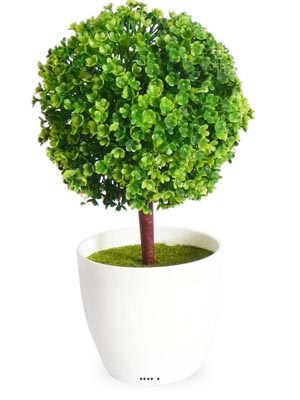 Mini plante topiaire Vert dco H 25 cm en pot plastique blanc superbe