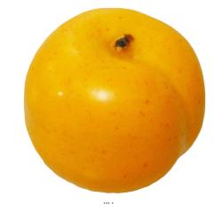 Abricot Artificiel fruit factice lest H 6 cm