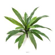 Fougère Asplenium artificielle en piquet 16 feuilles H 35 cm D 40 cm Vert