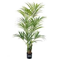 Palmier Kentia artificiel H 200 cm 192 feuilles artificielles