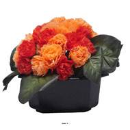 Bac carré fleurs artificielles œillets Rouge-orange pour la Toussaint