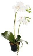 Orchidee artificielle 2 hampes en pot H 40 cm touch rel Blanc neige