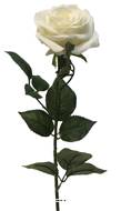 Rose factice Paris H64cm belle tête D9cm 12 feuilles tissu Crème -BEST