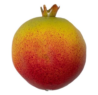 Grenade Artificielle Réaliste H 9 cm : L'Éclat Exotique Idéal pour Vos Décors