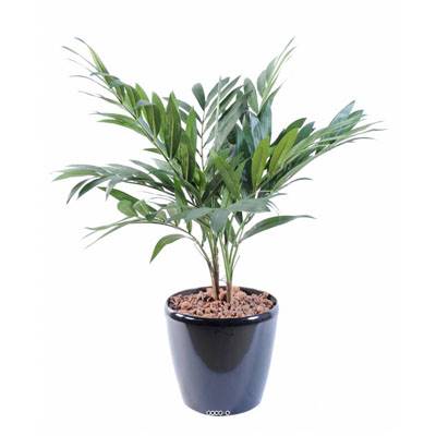 Palmier Parlour Artificiel H 65 cm D 55 cm 2 troncs en pot