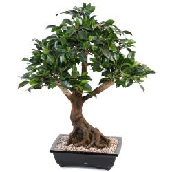 Bonsa Ficus Artificiel H 55 cm D 60 cm en pot