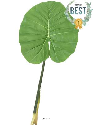 Feuille de Colocasia géante artificielle, H 95 cm - BEST