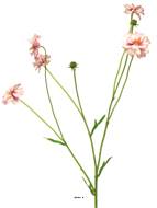 Centaurée artificielle, 3 ramures, H 64 cm Rose-crème - BEST