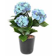 Hortensia artificiel 3 têtes en piquet pour extérieur H 45 cm Lavande