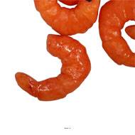 Crevettes oranges cuites artificielles x5, Longueur 5 cm, largeur 4 cm
