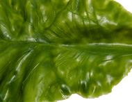 Feuille de salade Laitue Verte  L 16 x 10 cm, 9g en Latex -  Ultra-Réaliste – Effet Réel