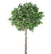 Platane arbre artificiel H 400 cm L 280 cm Tronc bois et fibre de verre sur platine