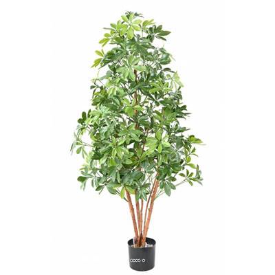 Choisya artificiel en pot anti-UV extérieur H 150 cm L 65 cm