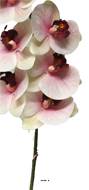 Tige d’orchidée phalaenopsis artificielle, 9 fleurons, toucher réel, H 108 cm Pourpre-blanc - BEST