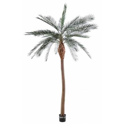 Palmier Phoenix artificiel H 340 cm en pot pour Exterieur tres belle tete