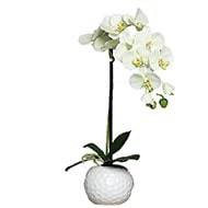 Orchidee artificielle crme Vert1 hampe en pot Ceramique Blanc H 46 cm